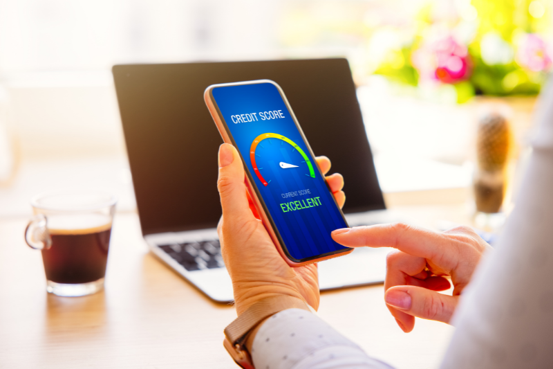 Home 113 A person holds a smartphone displaying a credit score gauge with the status marked as Excellent. A laptop, a cup, and blurred plants are visible in the bright background.
